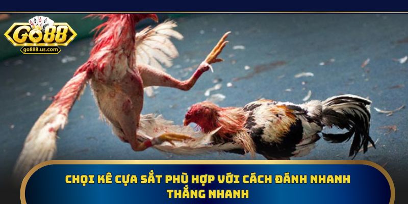 Chọi kê cựa sắt phù hợp với cách đánh nhanh thắng nhanh