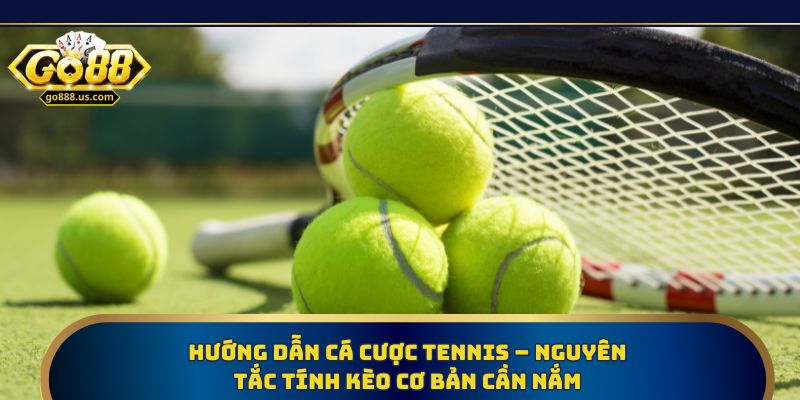 Hướng dẫn cá cược tennis – Nguyên tắc tính kèo cơ bản cần nắm